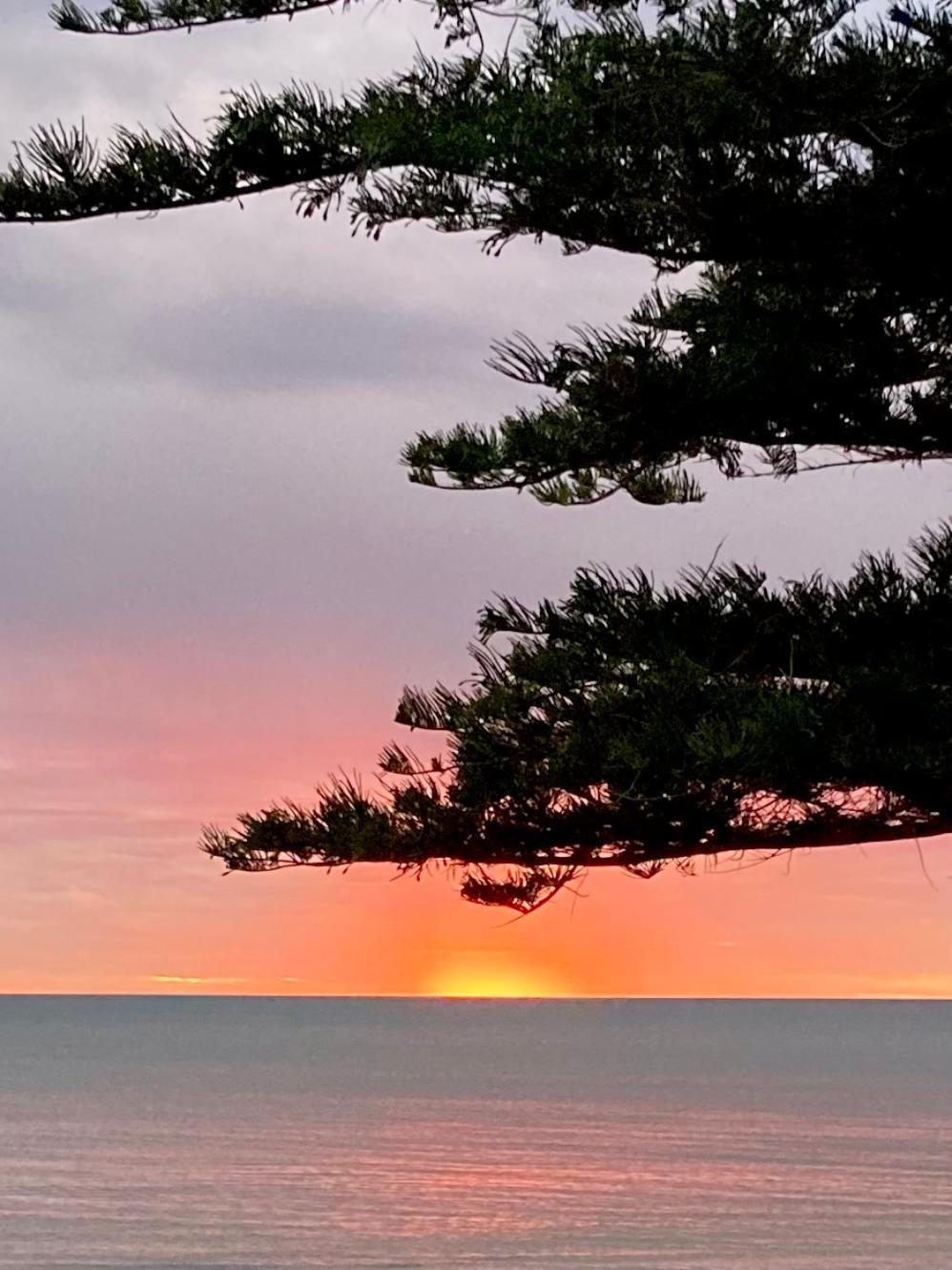 Absolute Beachfront Apartment, Amazing Sunsets Apartment Glenelg