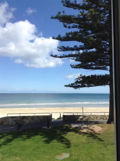 Absolute Beachfront Apartment, Amazing Sunsets * Glenelg