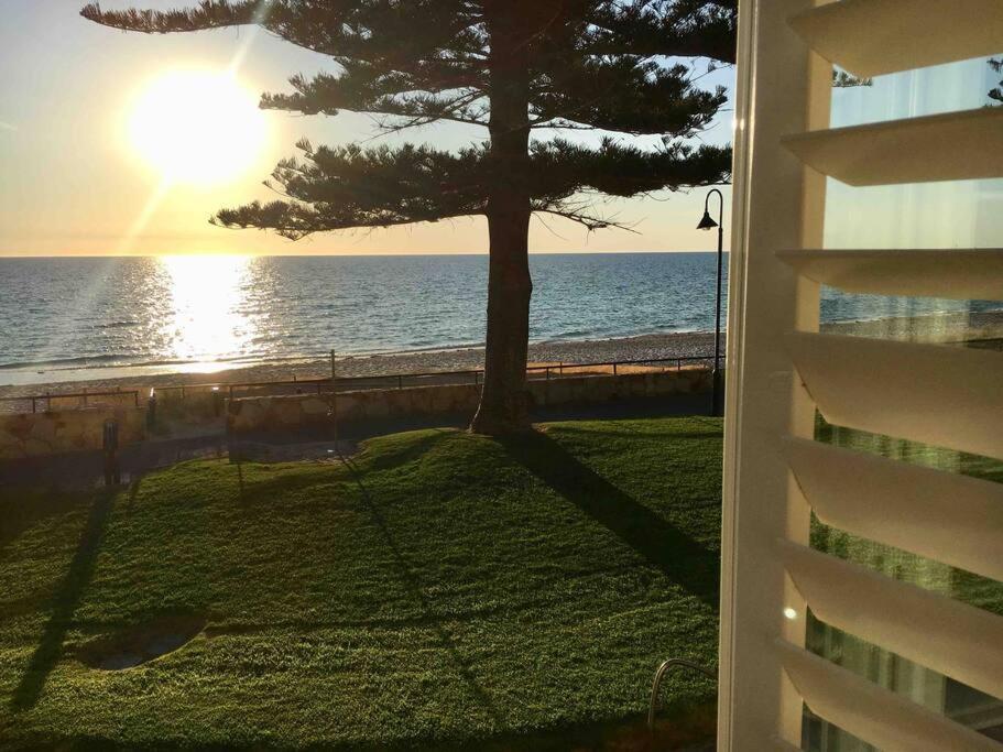 Apartment Absolute Beachfront Apartment, Amazing Sunsets Glenelg